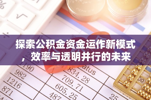 大竹探索公积金资金运作新模式，效率与透明并行的未来
