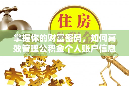 大竹掌握你的财富密码，如何高效管理公积金个人账户信息