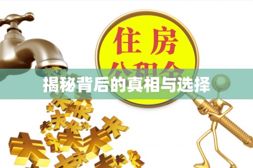 大竹揭秘背后的真相与选择