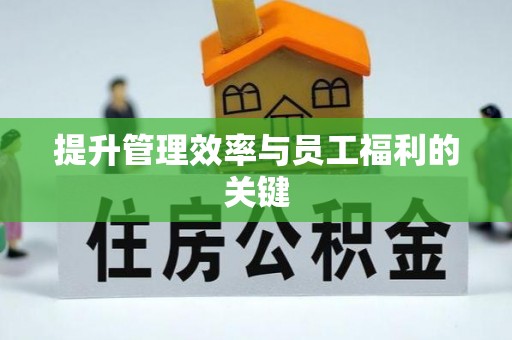 大竹提升管理效率与员工福利的关键