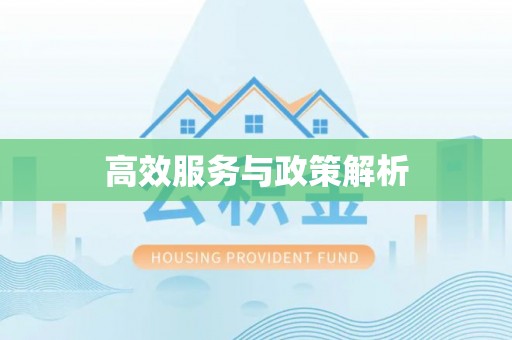 大竹高效服务与政策解析