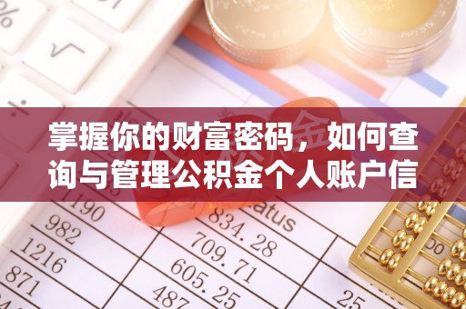 大竹掌握你的财富密码，如何查询与管理公积金个人账户信息