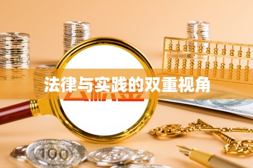 大竹法律与实践的双重视角
