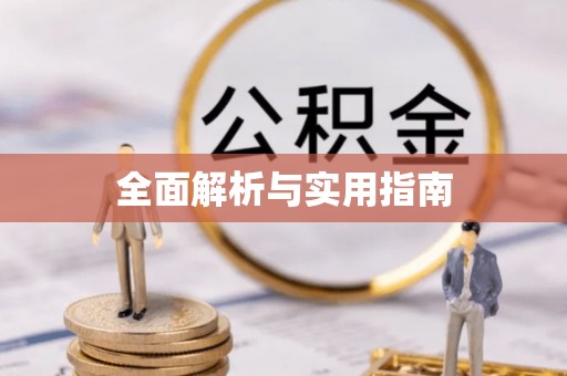 大竹全面解析与实用指南
