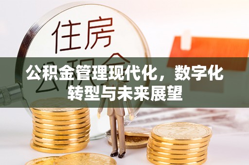 大竹公积金管理现代化，数字化转型与未来展望
