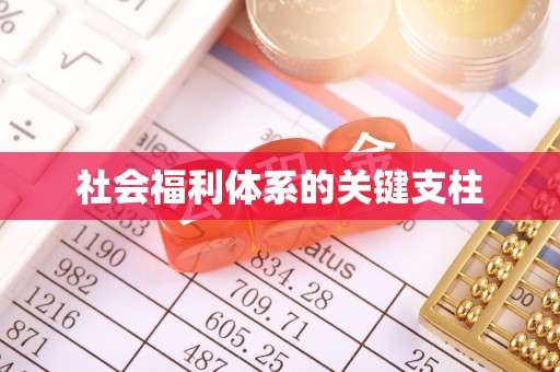 大竹社会福利体系的关键支柱