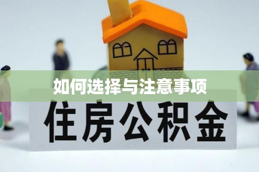 大竹如何选择与注意事项