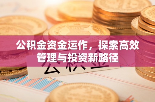 大竹公积金资金运作，探索高效管理与投资新路径