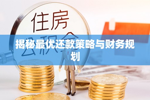 大竹揭秘最优还款策略与财务规划
