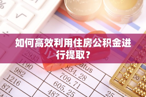 大竹如何高效利用住房公积金进行提取？