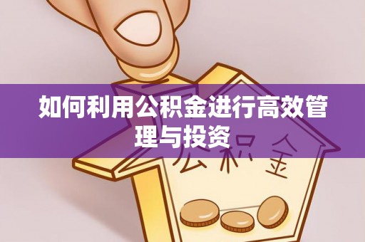 大竹如何利用公积金进行高效管理与投资