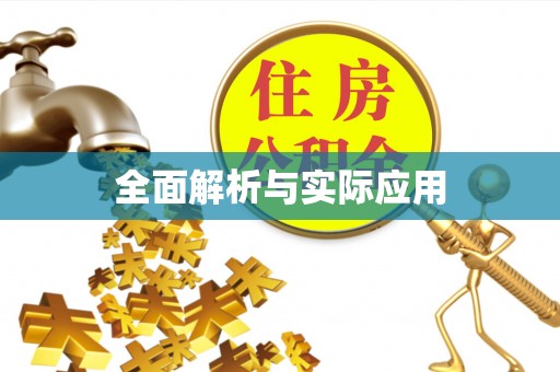 大竹全面解析与实际应用