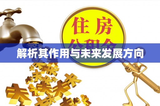大竹解析其作用与未来发展方向
