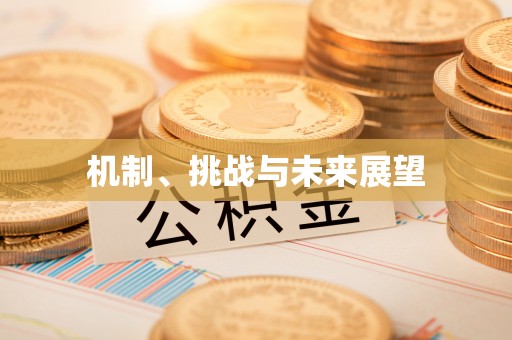 大竹机制、挑战与未来展望