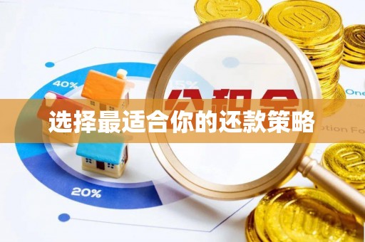 大竹选择最适合你的还款策略