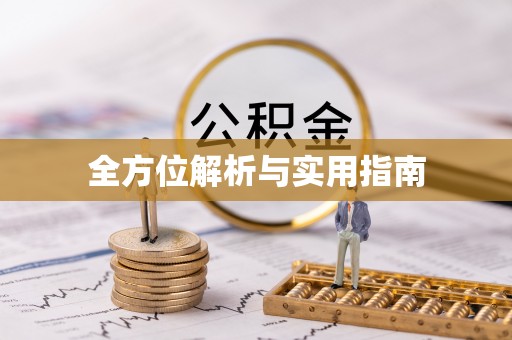 大竹全方位解析与实用指南