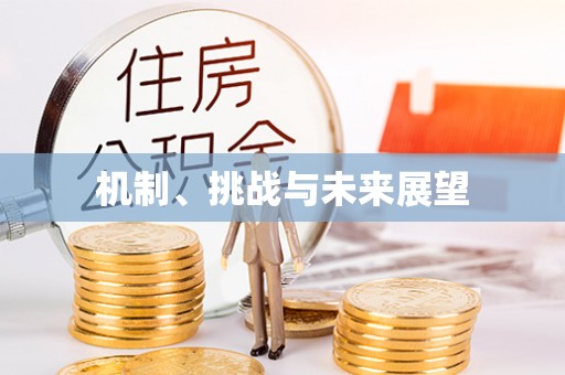 大竹机制、挑战与未来展望